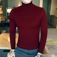 Men's Turtle Neck Pullovers Solid Color Slim Sweater