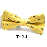 Men's Formal Bow Tie