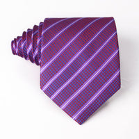 Men's Business Formal Classic Tie